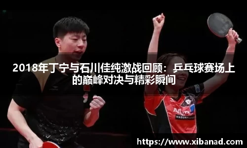 2018年丁宁与石川佳纯激战回顾：乒乓球赛场上的巅峰对决与精彩瞬间