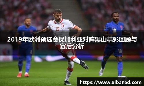 2019年欧洲预选赛保加利亚对阵黑山精彩回顾与赛后分析